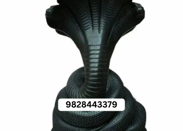 Stainless Steel Fasteners